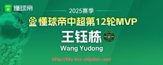 世俱杯直播-德甲波鸿球队的介绍和图片资料有哪些？（波鸿vs汉堡预测）