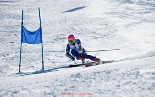 世俱杯直播-德甲石荷州球队介绍及其在联赛中的竞争力评估